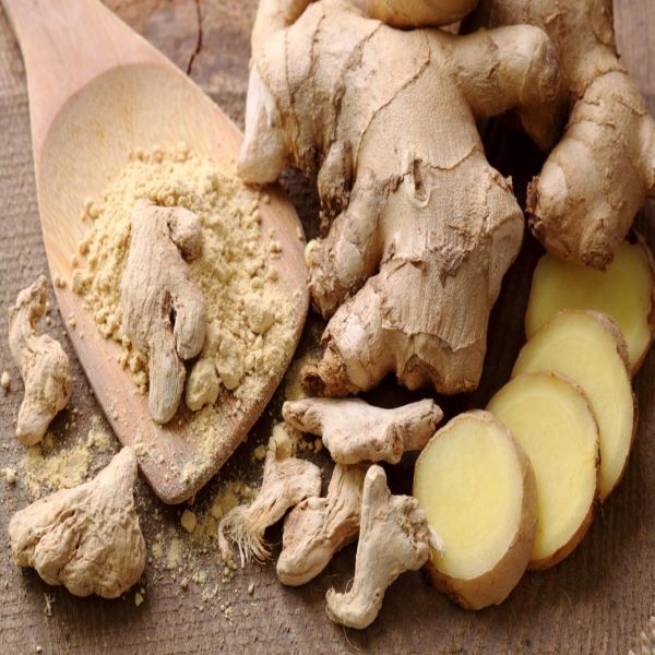 Ginger 1x12.5kg02